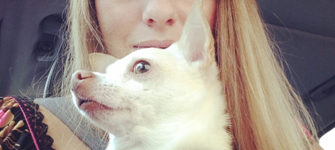 We Dropped Everything to Travel the World with Our Dog We Dropped Everything to Travel the World with Our Dog