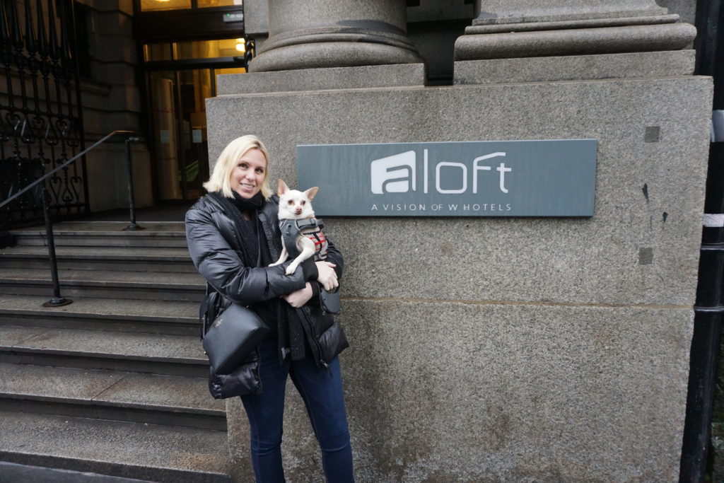 DSC01103-1024x683 A Dog Travels to Aloft Hotel in Liverpool