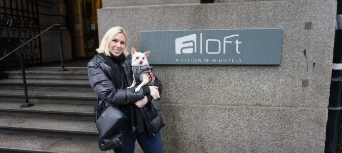 A Dog Travels to Aloft Hotel in Liverpool A Dog Travels to Aloft Hotel in Liverpool