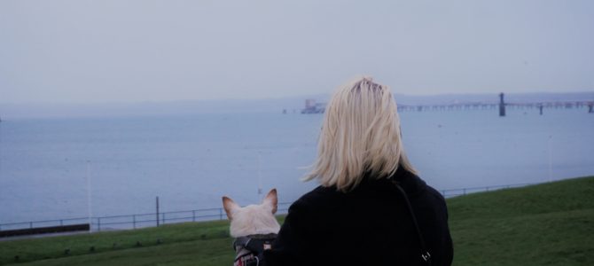 A Dog Travels to Wales A Dog Travels to Wales