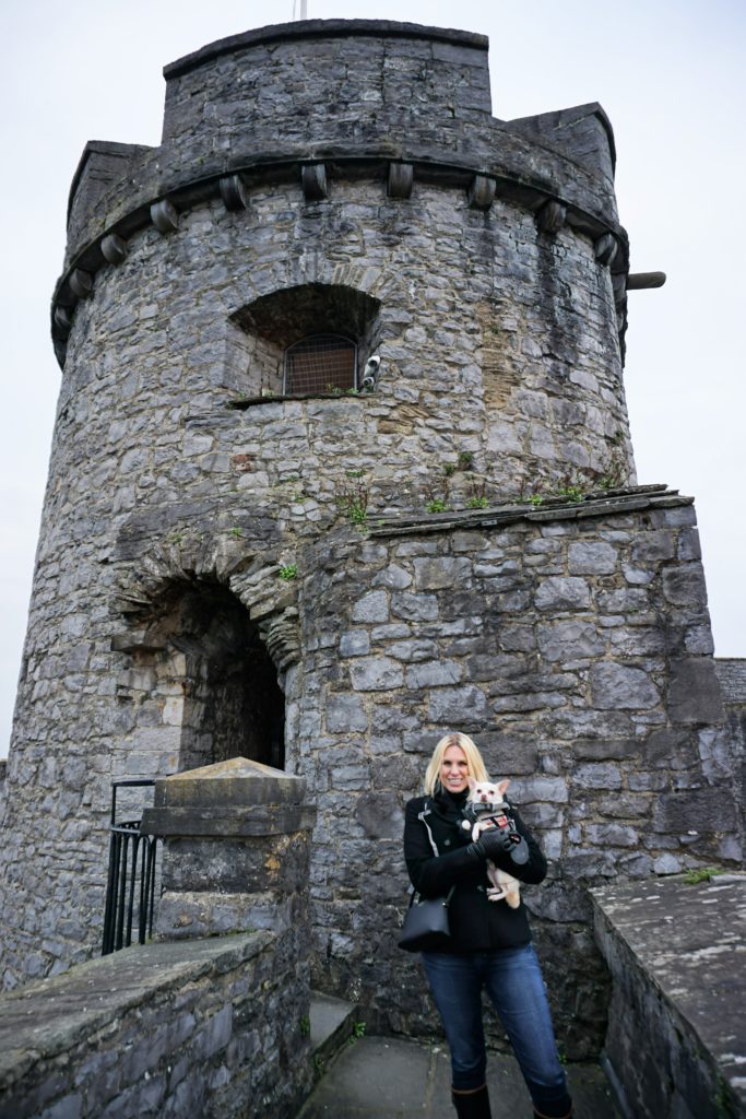 DSC04318-2-1024x683 A Dog Travels to Limerick Ireland and is King of the Castle