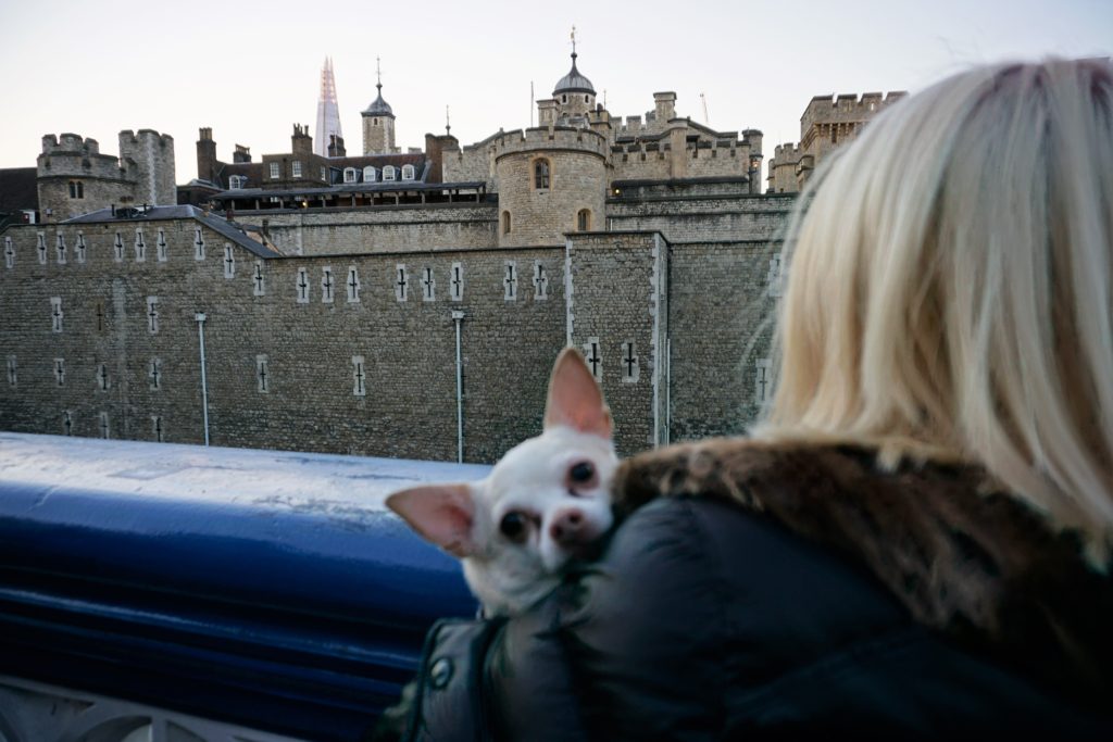 DSC03499-2-1024x683 A Dog Travels to the Tower of London