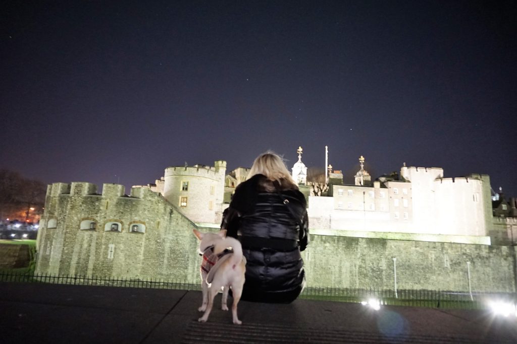 DSC03499-2-1024x683 A Dog Travels to the Tower of London