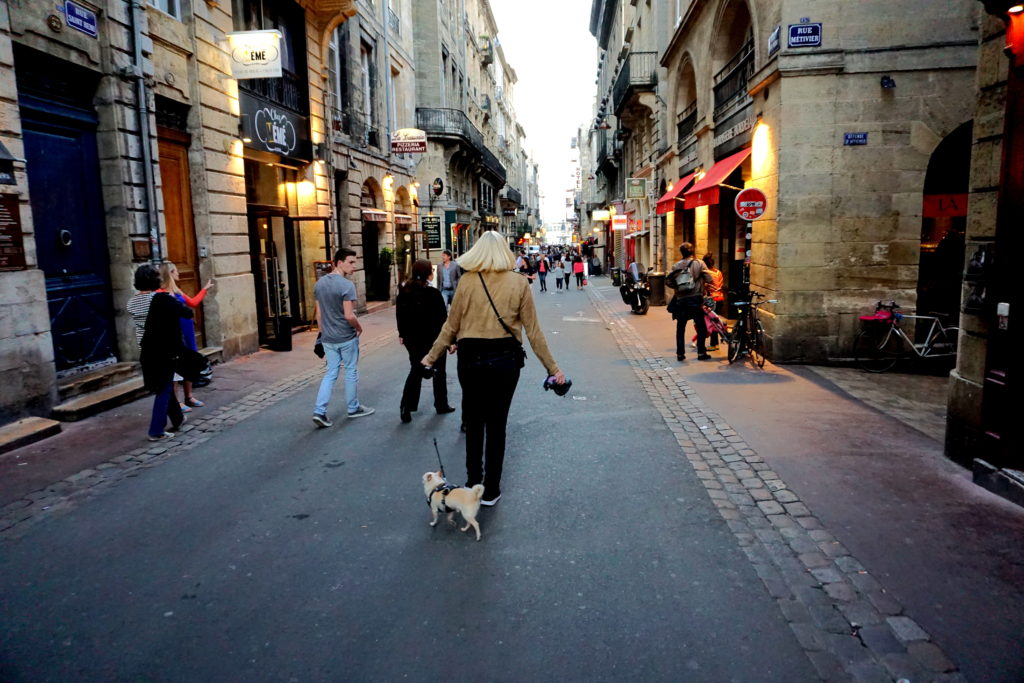 correctedDSC06973-683x1024 A Dog Travels to Bordeaux part 2