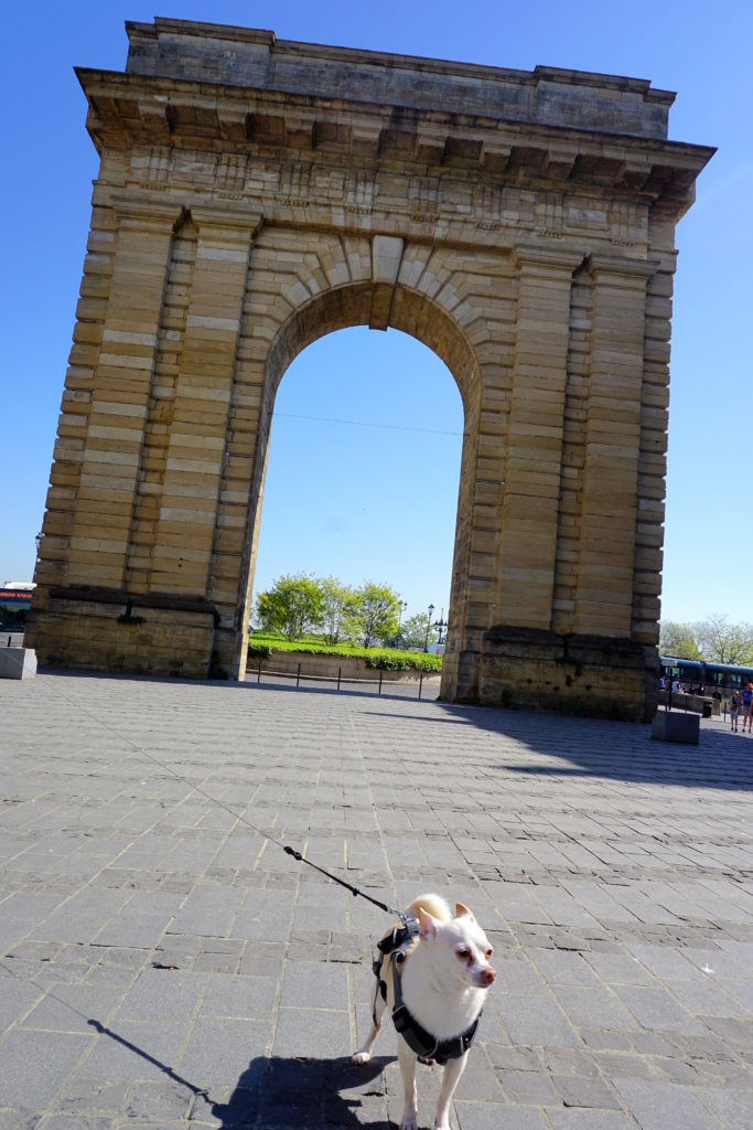 corrctedDSC07138-1024x683 A Dog Travels to Bordeaux part 1