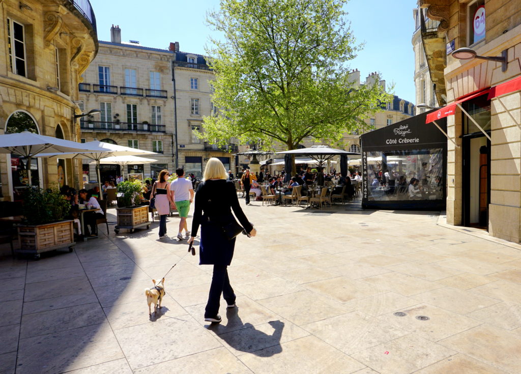 corrctedDSC07138-1024x683 A Dog Travels to Bordeaux part 1