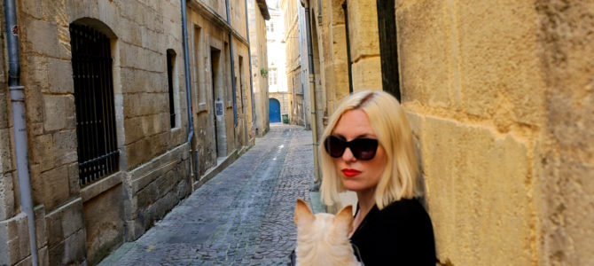 A Dog Travels to Bordeaux part 2 A Dog Travels to Bordeaux part 2