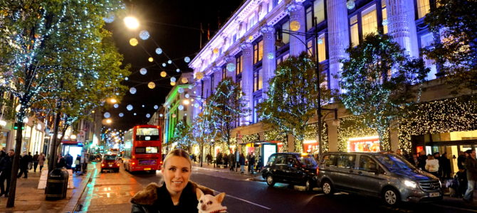 A Dog Travels to Oxford Street Lights and Hyde Park Winter Wonderland A Dog Travels to Oxford Street Lights and Hyde Park Winter Wonderland