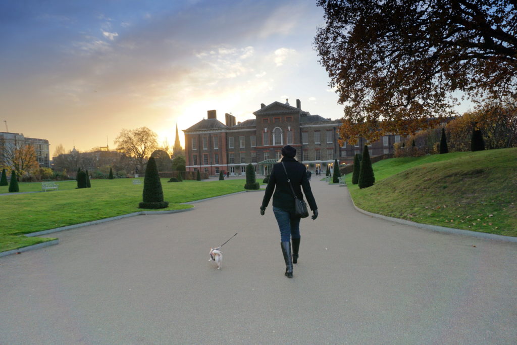 correctDSC02266-1024x683 A Dog Travels to Kensington Palace in Hyde Park