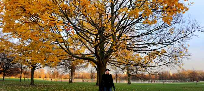 A Dog Travels to Kensington Palace in Hyde Park A Dog Travels to Kensington Palace in Hyde Park