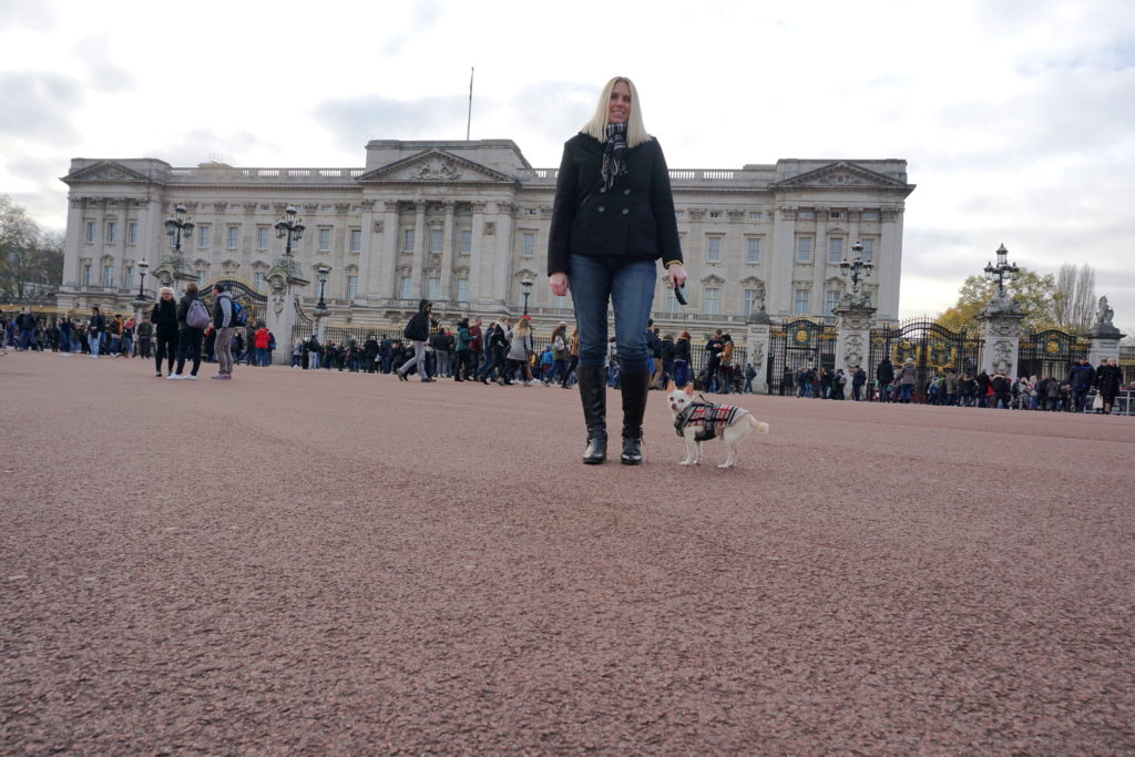 correctDSC00769-1024x683 A Walk Through London's Top Sites with a Dog