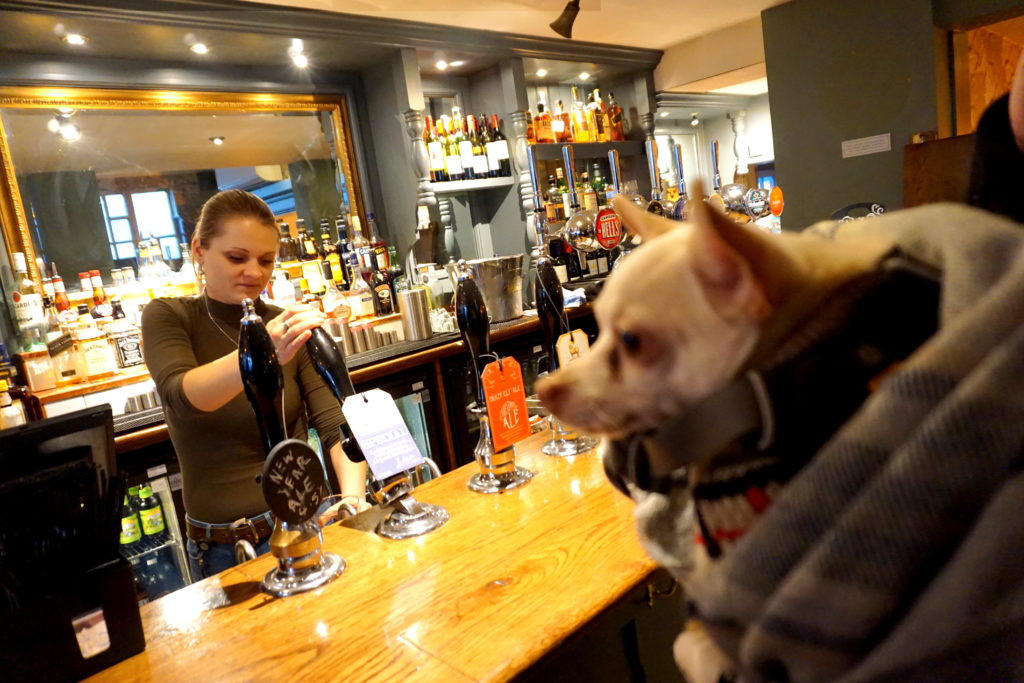 correctedDSC09994-1024x683 Bringing a Dog to Bars, Cafes, and Restaurants in England.