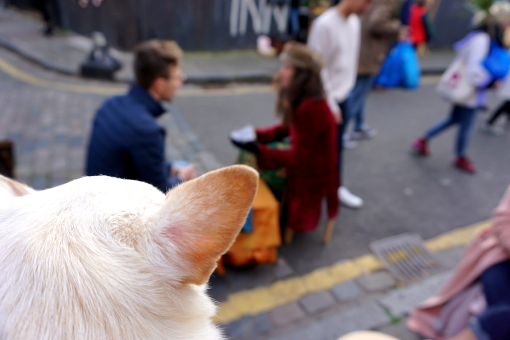 correctedDSC00151-1024x683 Exploring Brick Lane Market with a Dog