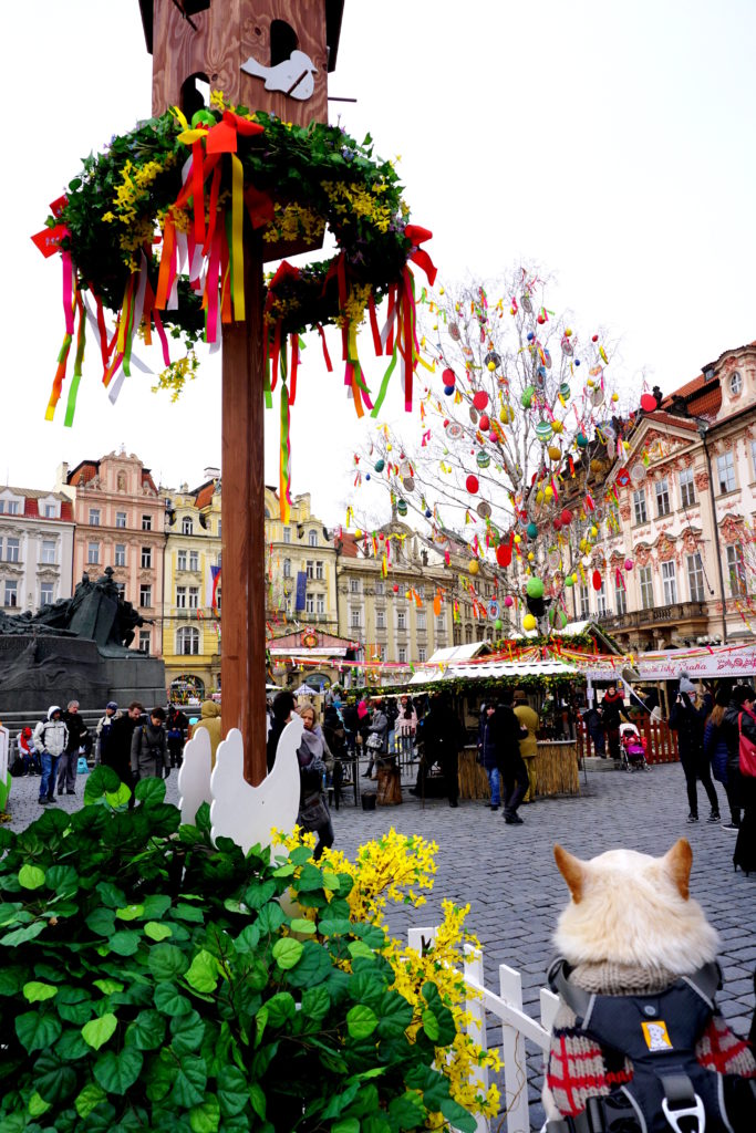 correctedDSC02210-1024x683 Coco Sees Easter in Prague Part 1