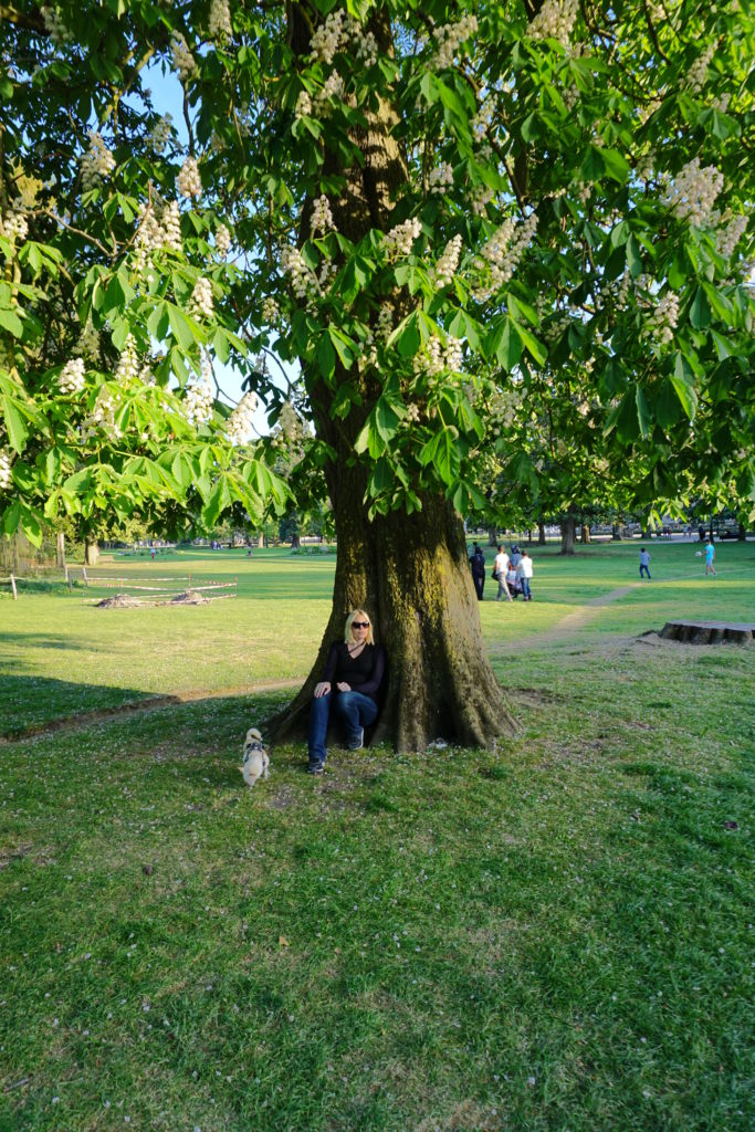 correctedDSC07347-1024x683 Exploring Jardin Parc (Public Garden) with a Dog in Bordeaux