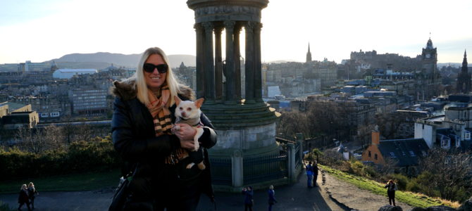 Adventures in Edinburgh with a Wee Dug Part 2 Adventures in Edinburgh with a Wee Dug Part 2