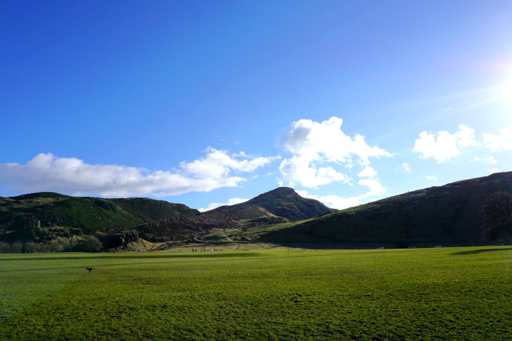 correctedDSC01598-1024x683 Holyrood Park (Queen's Park) and Arthur's Seat Adventures with a Small Dug