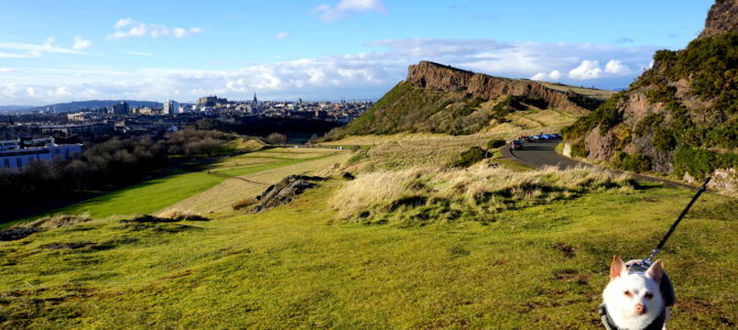 Holyrood Park (Queen’s Park) and Arthur’s Seat Adventures with a Small Dug Holyrood Park (Queen’s Park) and Arthur’s Seat Adventures with a Small Dug