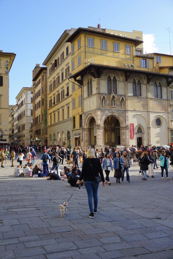 correctedIMG_6776-768x1024 A Dog Travels to Florence, Italy Part 1