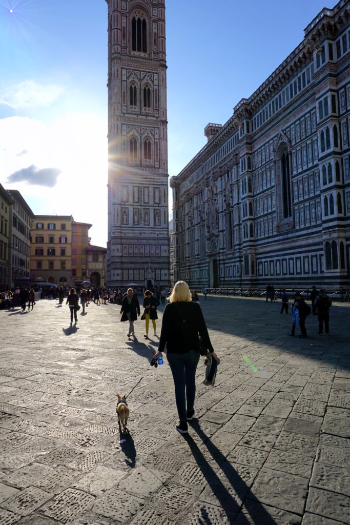 correctedIMG_6776-768x1024 A Dog Travels to Florence, Italy Part 1