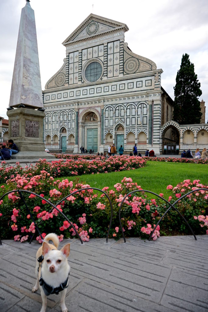 correctedDSC07641-683x1024 A Dog Travels to Florence, Italy Part 2
