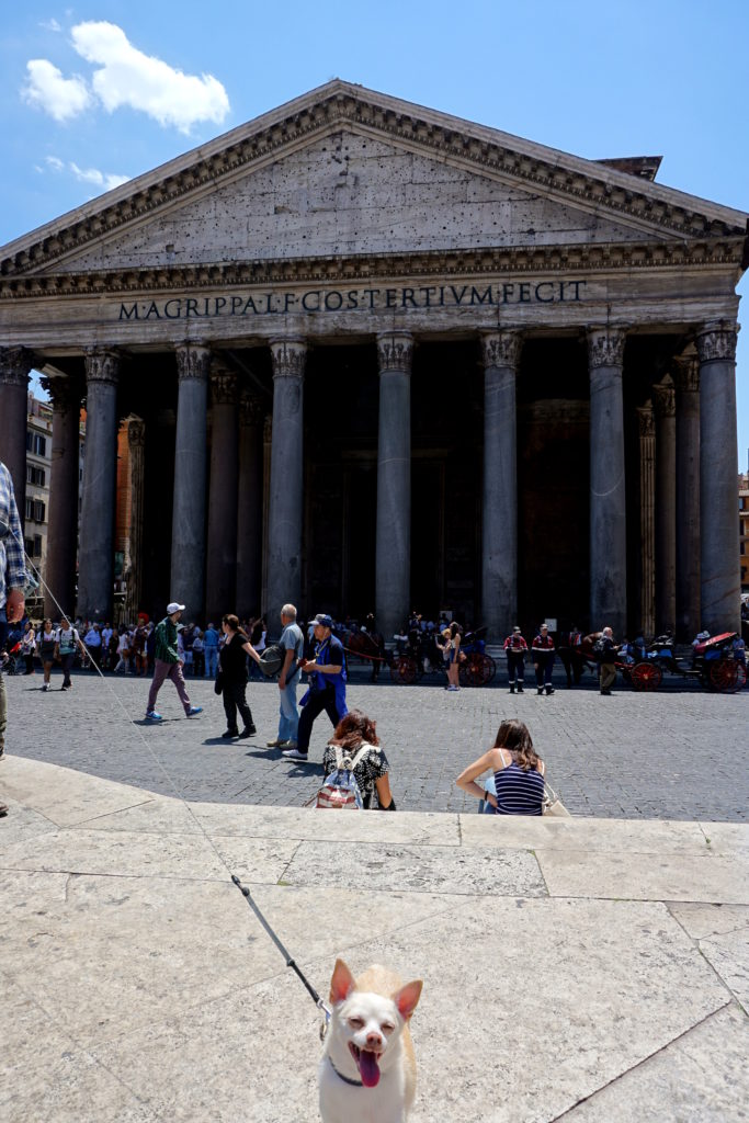 correctedDSC08110-683x1024 Exploring Rome with a Small Dog Part 1