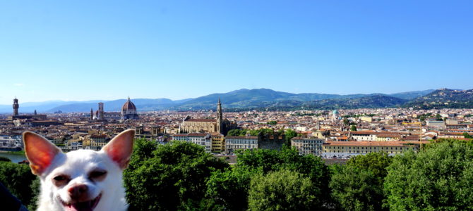 A Dog Travels to Florence, Italy Part 2 A Dog Travels to Florence, Italy Part 2