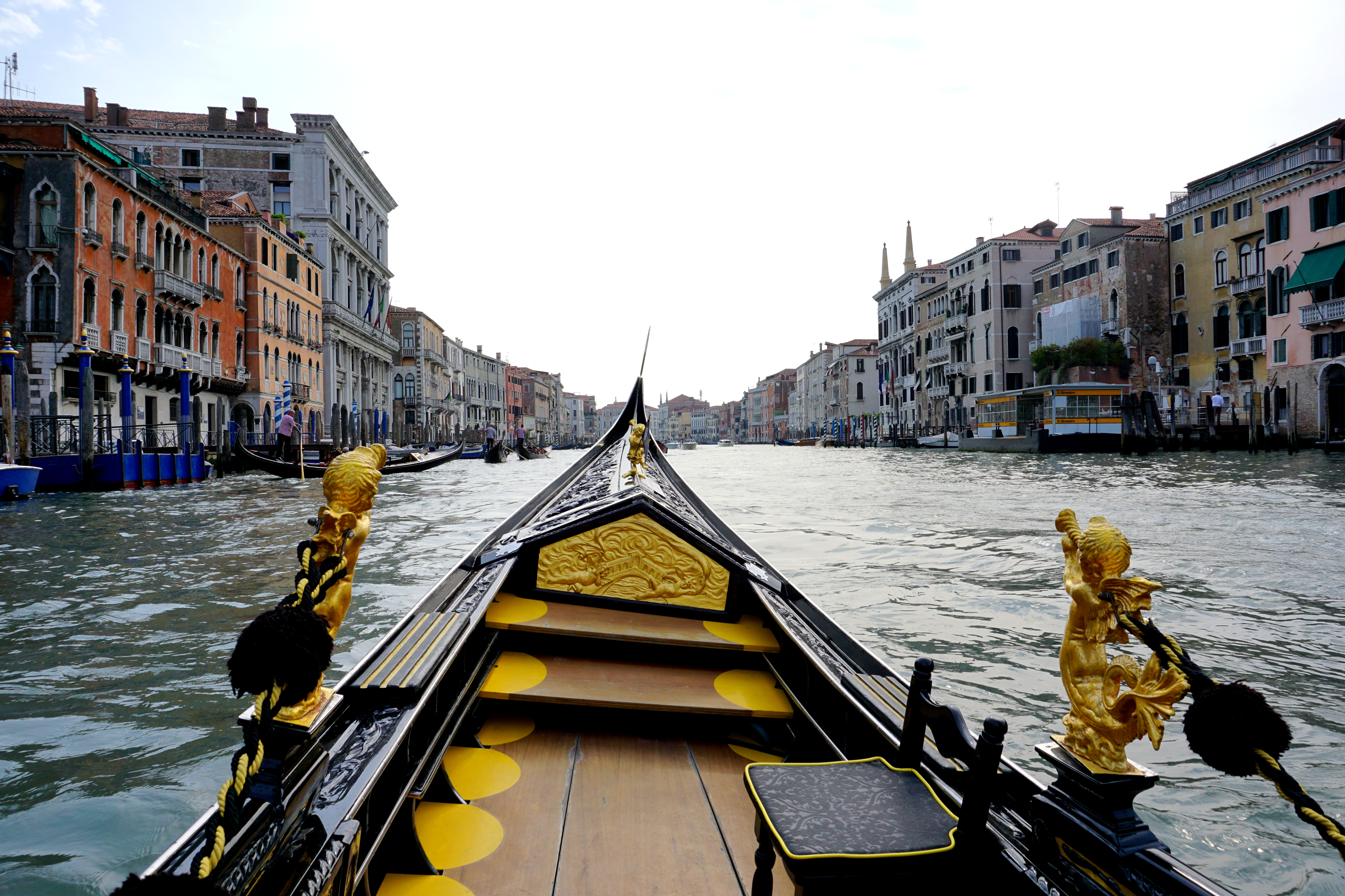Is Venice Italy Dog Friendly
