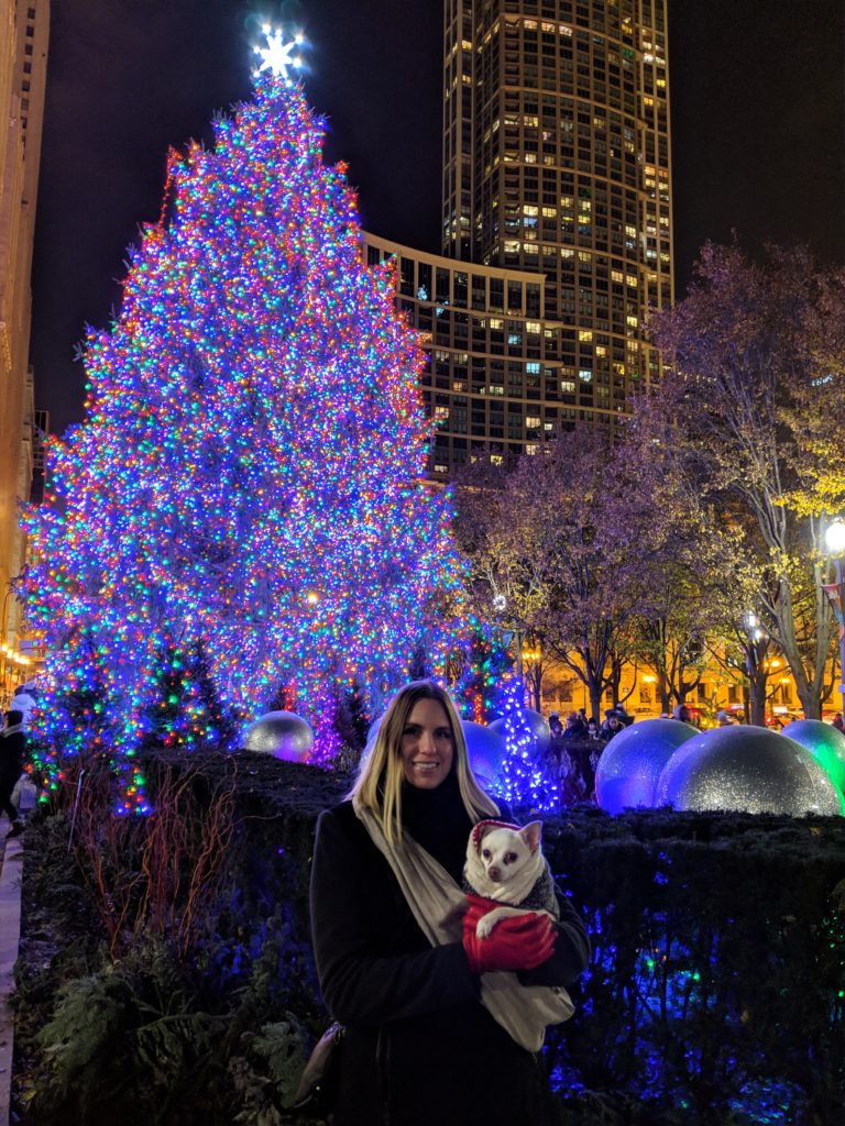 chicago christmas tree